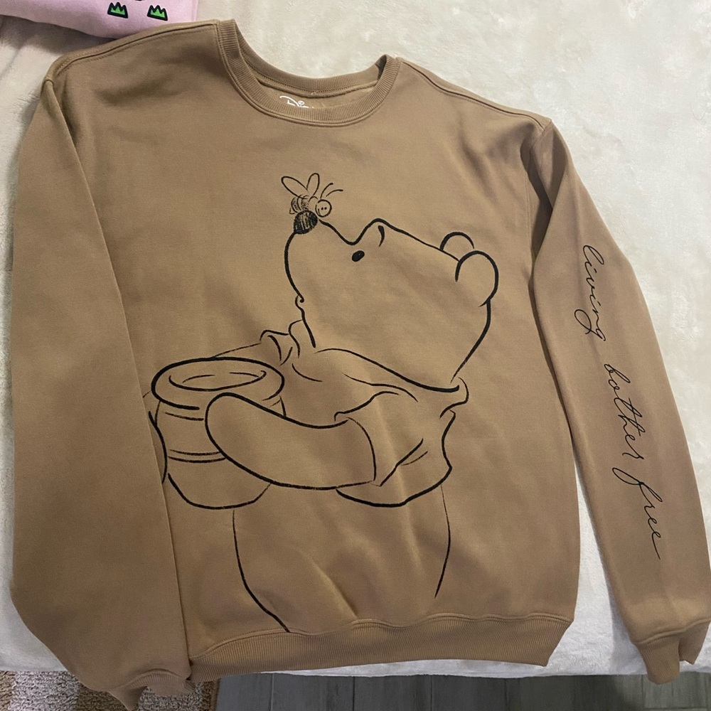 Brown Winnie the Pooh sweater